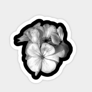 Bloom and Blossom Sticker